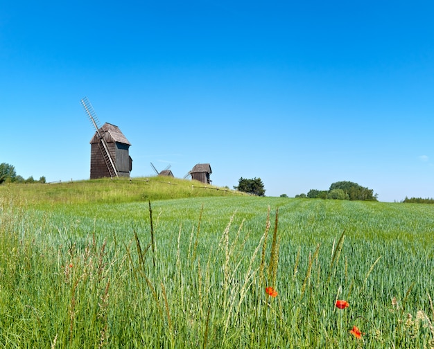 Paisagem rural com moinhos de vento históricos por trás do campo wheet na primavera