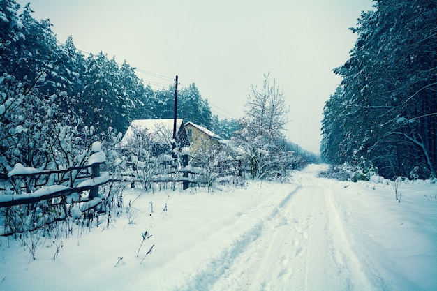 Paisagem rural com neve