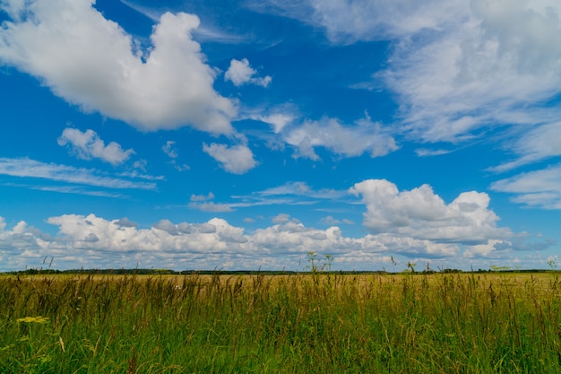 Paisagem rural com nuvens.