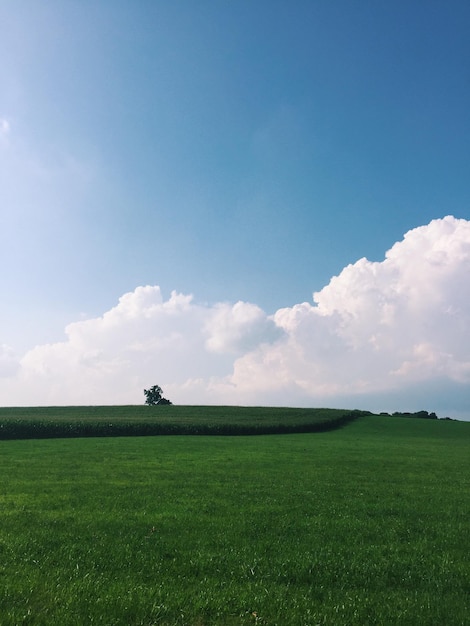Paisagem rural contra o céu azul e as nuvens