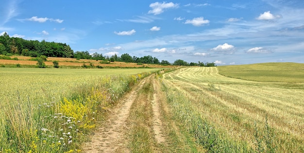 Paisagem rural contra o céu azul