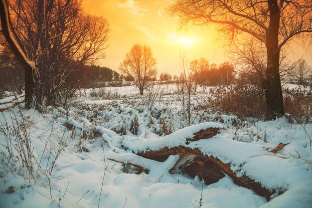 Paisagem rural de inverno e pôr do sol