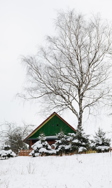 Paisagem rural de inverno