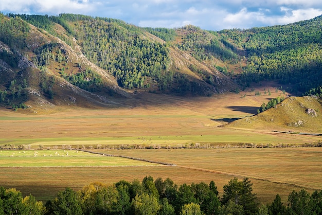 Paisagem rural de montanha no outono montanha Altai da Rússia