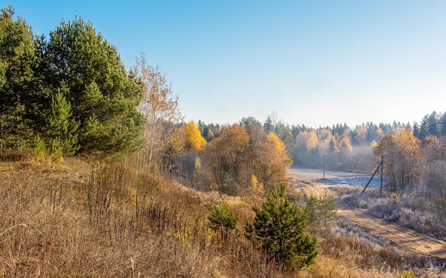 Paisagem rural de outono brilhante Árvore amarelada deixa estrada rural céu claro e transparente