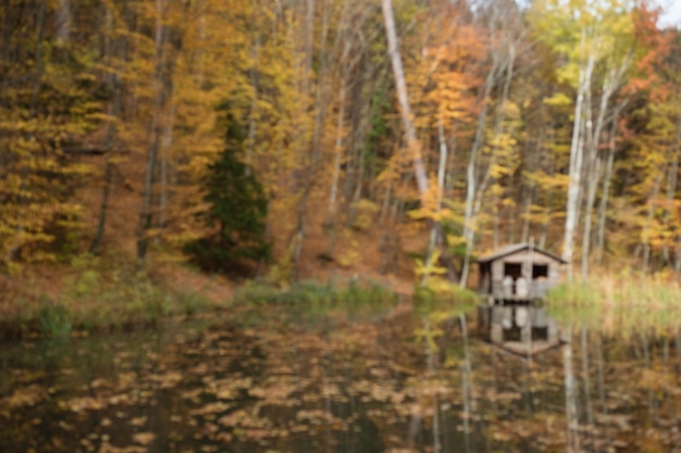 Paisagem rural de outono - carvalhos de outono perto do lago e uma casinha solitária