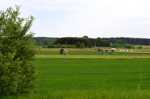 Paisagem rural de pastagem e trator coletando feno ao fundo