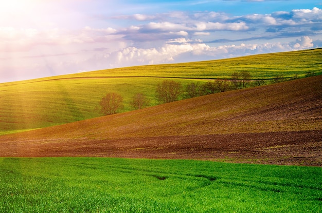 Paisagem rural de primavera