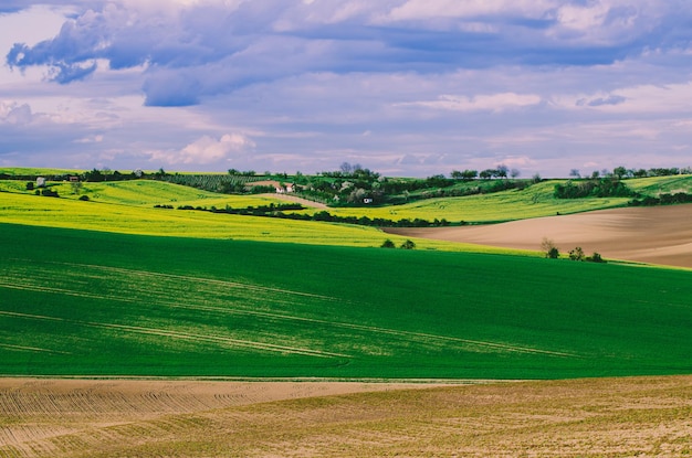 Paisagem rural de primavera