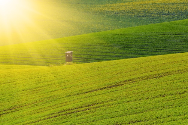 Paisagem rural de primavera