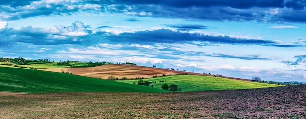 Paisagem rural de primavera