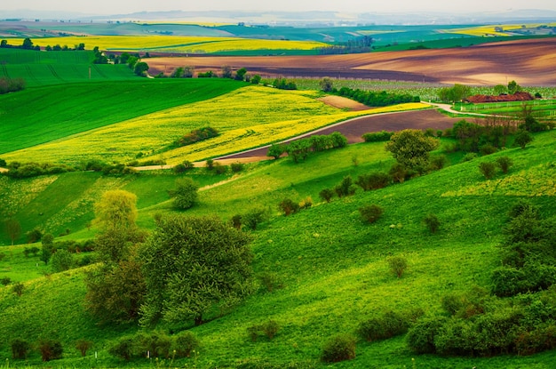 Paisagem rural de primavera