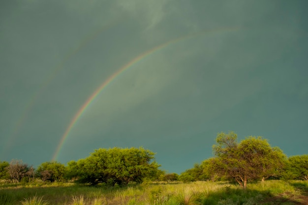 Paisagem rural e arco-írisProvíncia de Buenos Aires Argentina