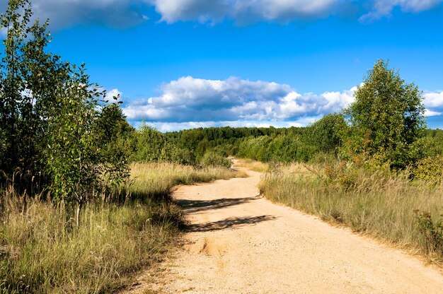 Paisagem rural em um dia de verão