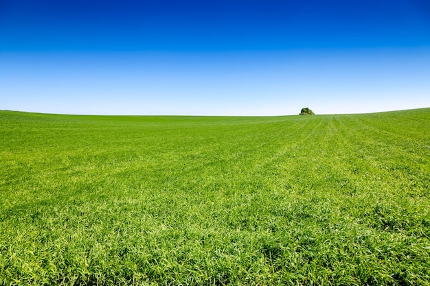 Foto paisagem rural idílica inglesa