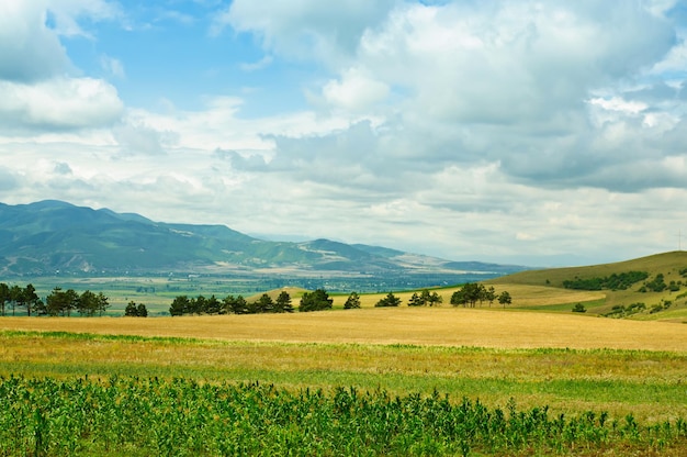 Paisagem rural na geórgia, com montanhas e campos de milho amarelo