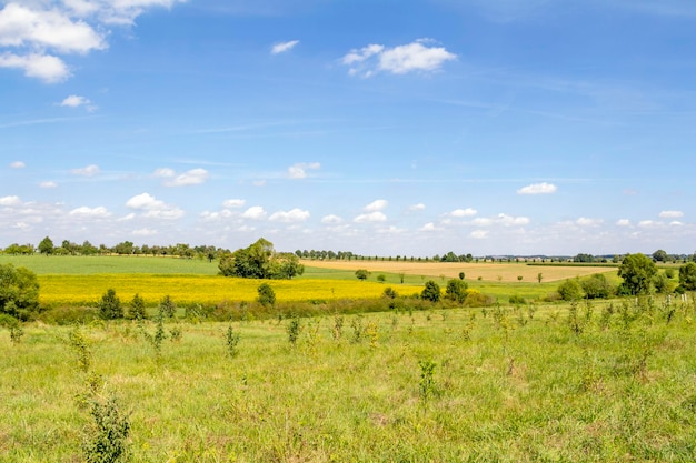 paisagem rural no verão