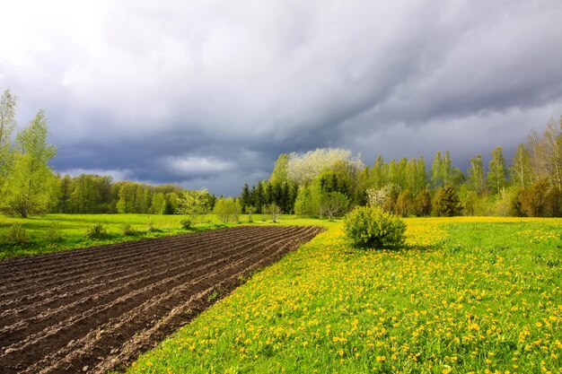 Paisagem rural Primavera no campo Letónia Europa Campo arado e relva verde