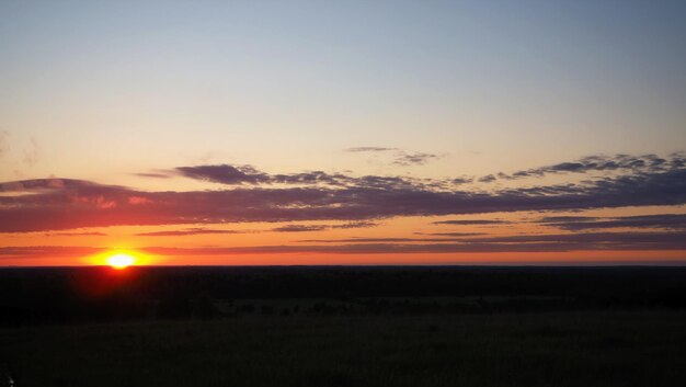 Paisagem rural. um belo pôr do sol em uma colina e uma floresta que se estende até o horizonte. leningrado