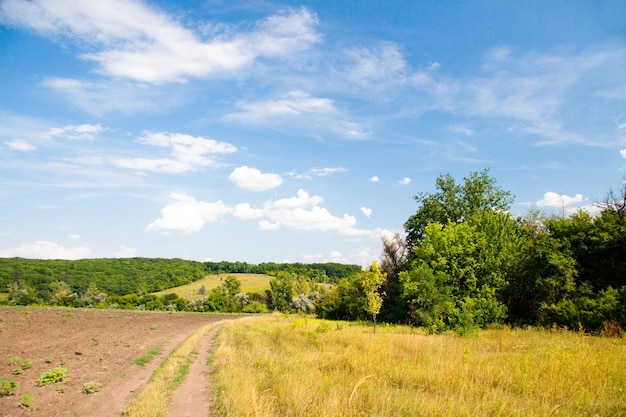 paisagem rural