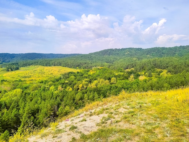 Foto paisagem russa de verão com céu azul e árvores