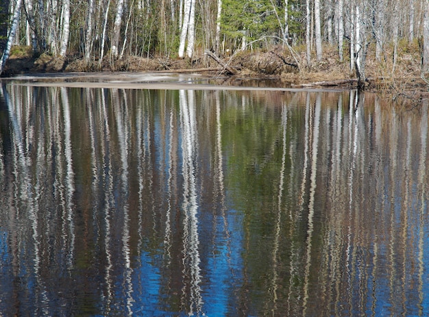 Paisagem russa Inundações de primavera no rio, reflexo das árvores na água