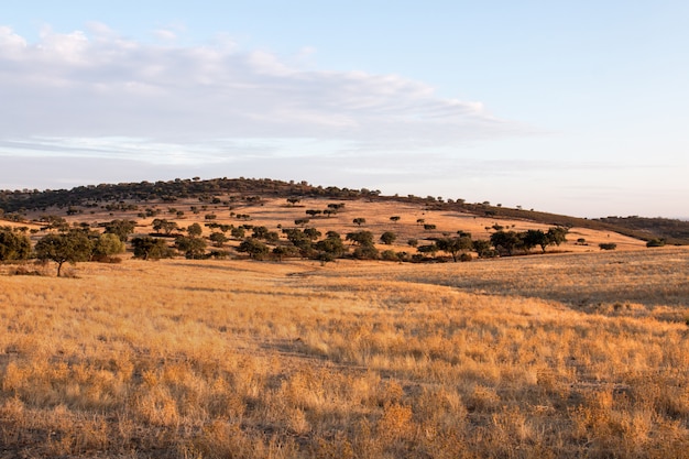 Paisagem seca da região do Alentejo.