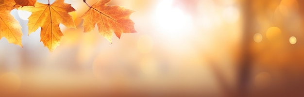 Foto paisagem serena de outono folhagem vibrante e luz dourada em um campo pacífico
