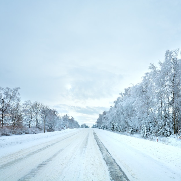 Paisagem sombria de inverno com estrada coberta de gelo e árvores ao lado da estrada