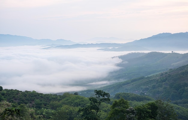 Paisagem surreal de nevoeiro matinal ... Nuvens matinais ao nascer do sol. Paisagem de nevoeiro e montanhas do norte da Tailândia.