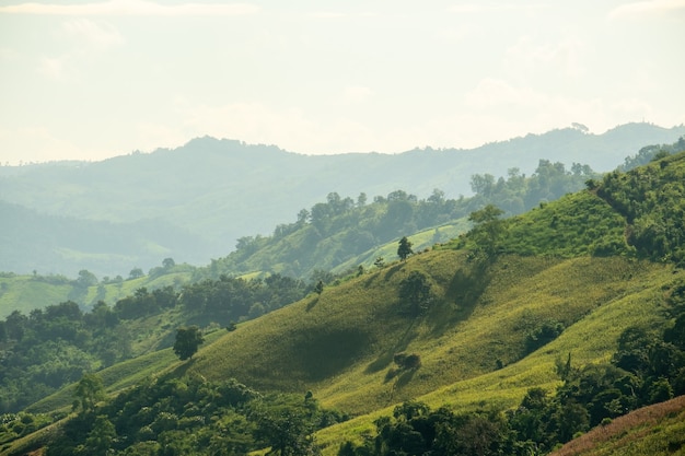 Paisagem surreal de nevoeiro matinal ... Nuvens matinais ao nascer do sol. Paisagem de nevoeiro e montanhas do norte do Laos.