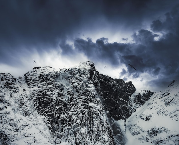 Paisagem temperamental do pico da montanha nevada com tempestade de céu escuro e pássaro voando