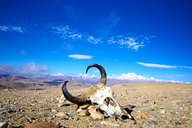 Foto paisagem tibetana