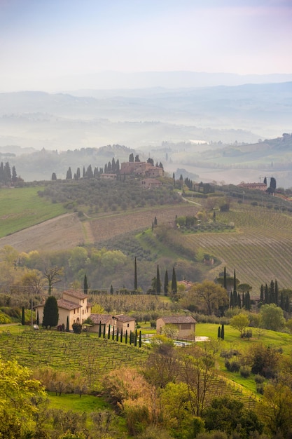 Paisagem típica da Toscana - vista de uma villa em uma colina, um beco de ciprestes e um vale com vinhedos, na província de Siena. Toscana, Itália