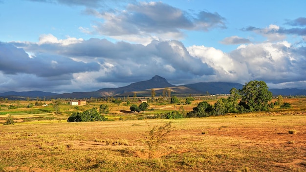 Paisagem típica de Madagáscar - campos de terraço de arroz verde e amarelo em pequenas colinas com casas de barro à distância - região de Andringitra perto de Sendrisoa