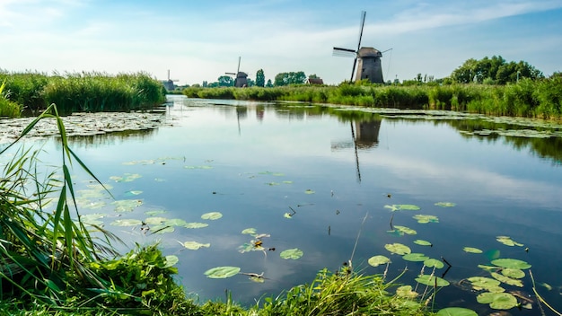 Paisagem típica holandesa em Alkmaar, Holanda