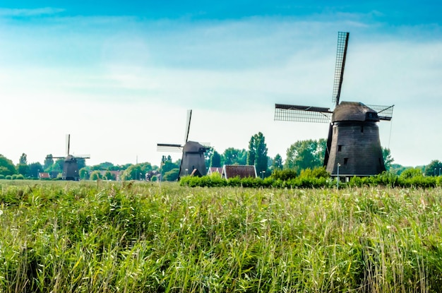 Paisagem típica holandesa em Alkmaar, Holanda