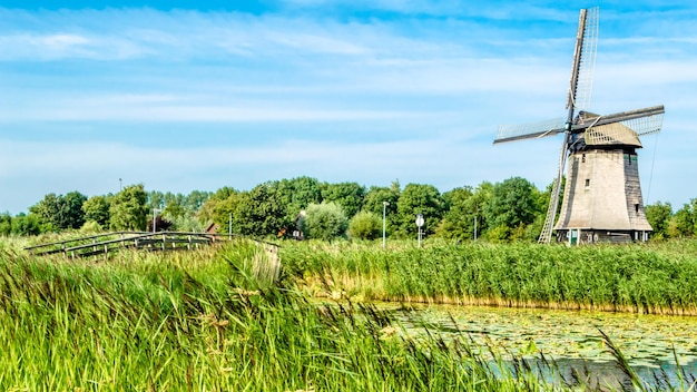 Paisagem típica holandesa em Alkmaar, Holanda