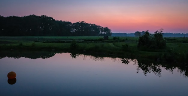 Paisagem típica holandesa no verão