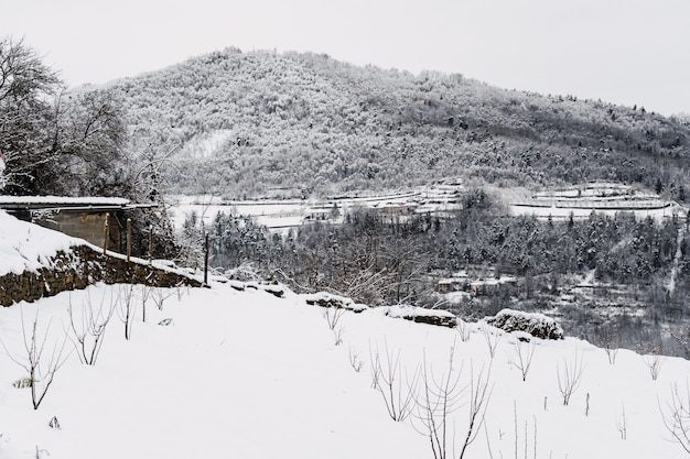 Paisagem toda branca coberta por neve e névoa no norte da Itália.