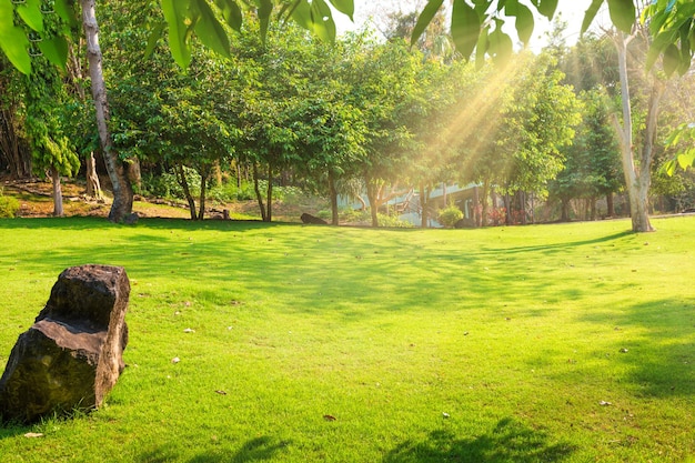 Paisagem tropical com árvores de gramado verde e casa em dia ensolarado