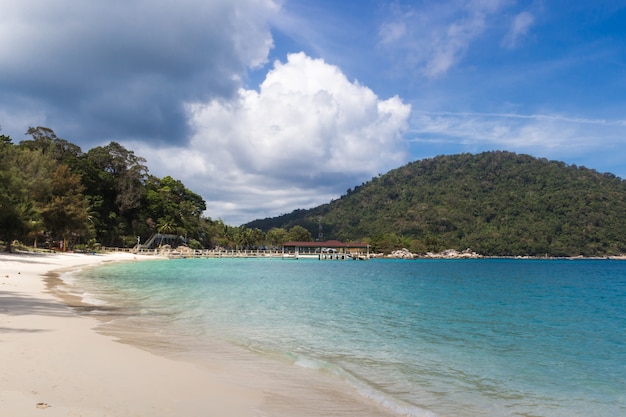 Paisagem Tropical com Mar Azul