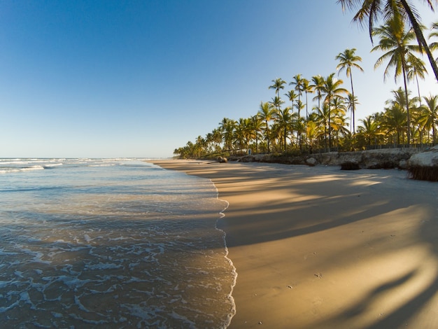 Paisagem tropical com praia com coqueiros ao pôr do sol.