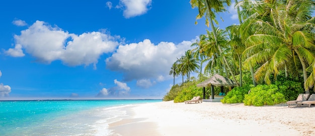 Paisagem tropical de cenário de verão, areia branca com palmeiras. Destino de férias de viagem de luxo