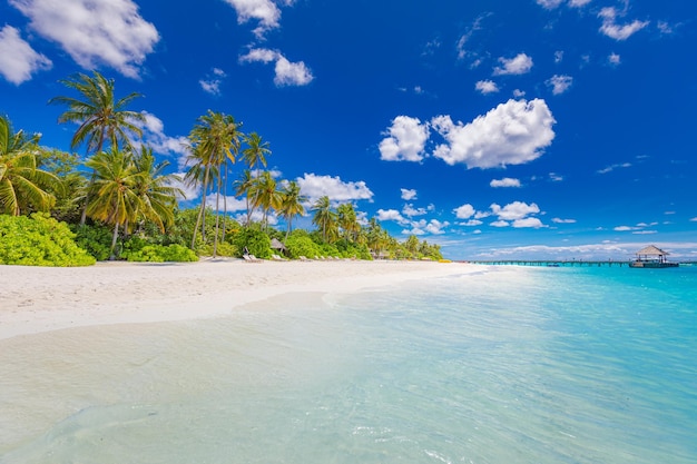 Paisagem tropical de cenário de verão, areia branca com palmeiras. destino de férias de viagem de luxo