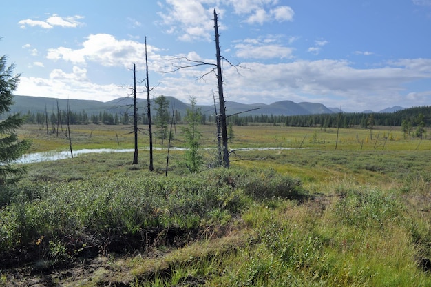 Paisagem tundra yakutiana