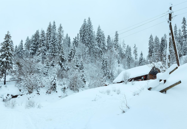 Paisagem ucraniana das montanhas dos cárpatos de inverno