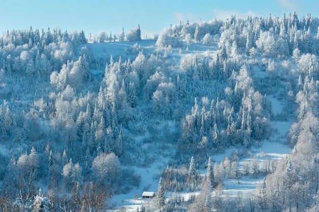 Paisagem ucraniana das montanhas dos Cárpatos de inverno