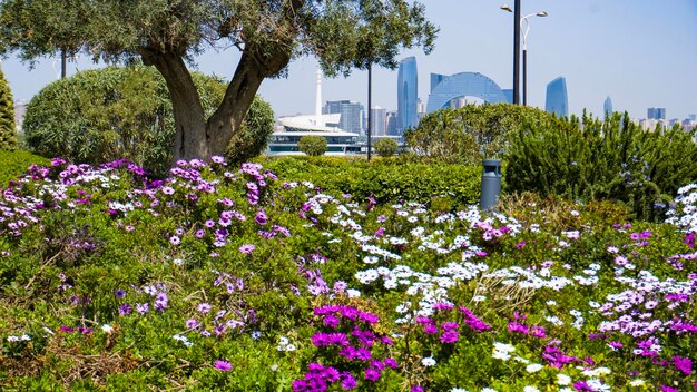 Paisagem urbana de Baku durante a primavera Baku Azerbaijão 20 04 2024