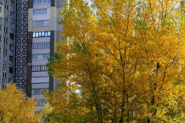 Paisagem urbana de outono com folhas amareladas e caindo no parque em frente a edifícios residenciais